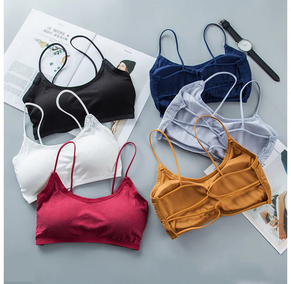 Pack of 3 Women Cotton Padded Backless Biddies | BD-SB