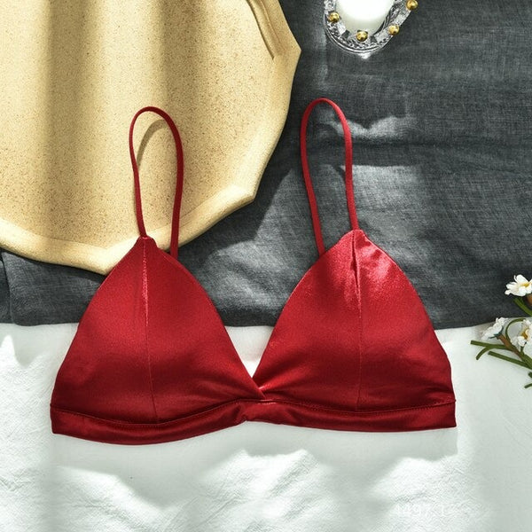 Pack Of 2 New Soft & Pure Silk Triangle Cup Light Padded T-Shirt Bra One Hook Padded Bra