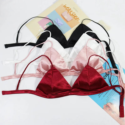 Pack Of 2 New Soft & Pure Silk Triangle Cup Light Padded T-Shirt Bra One Hook Padded Bra