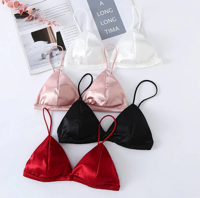 Pack Of 2 New Soft & Pure Silk Triangle Cup Light Padded T-Shirt Bra One Hook Padded Bra