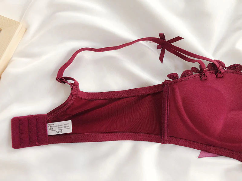 Cute Lace Flower Embroided High Quality Back Closure Adjustable Straps Bra & Panty Set
