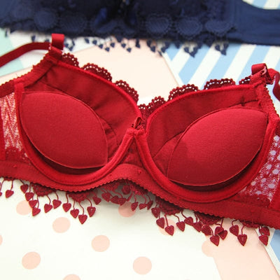 Floral Embroidery Bella Padded Bra and Panty Set