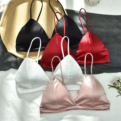 Pack Of 2 New Soft & Pure Silk Triangle Cup Light Padded T-Shirt Bra One Hook Padded Bra
