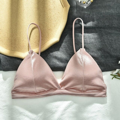 Pack Of 2 New Soft & Pure Silk Triangle Cup Light Padded T-Shirt Bra One Hook Padded Bra