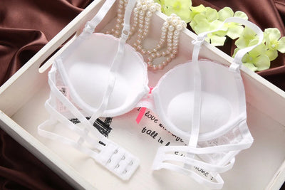 Cute Lace Embroidery Push Up Bra & Panty set