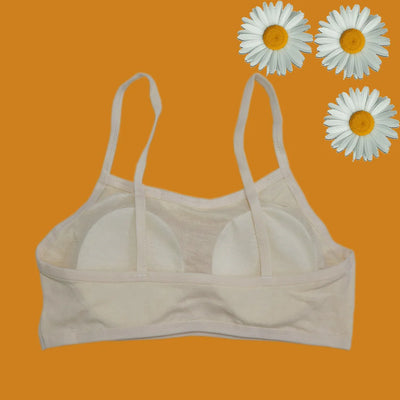 Pack Of 3 Cotton Soft Padded Teeange Bra Vest For Girls Steel -SB